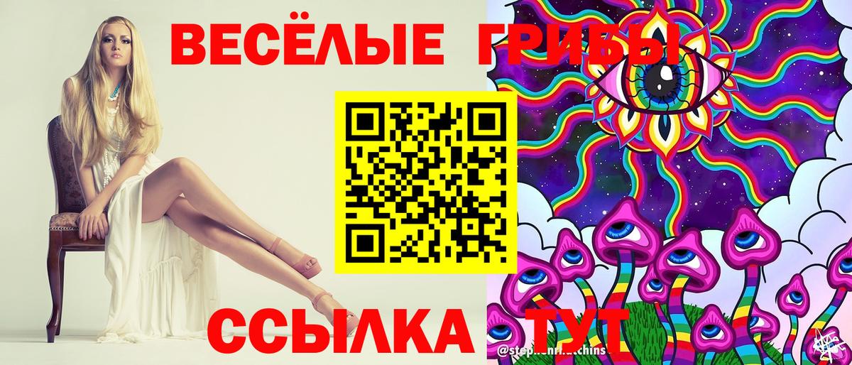 Псилоцибиновые грибы Cubensis Тавда