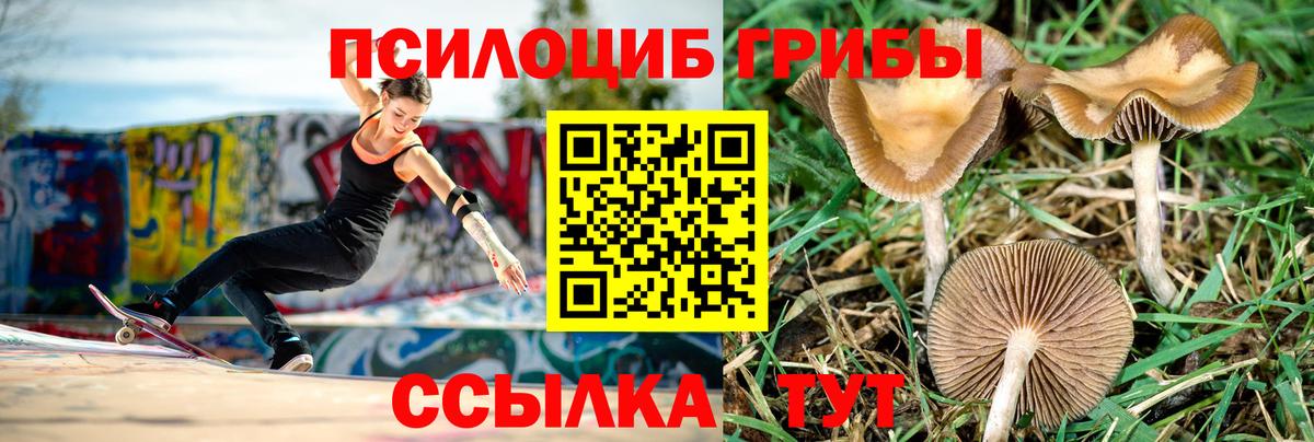 Псилоцибиновые грибы MAGIC MUSHROOMS  Вход с VPN  Галлюциногенные грибы MAGIC MUSHROOMS  Тавда 